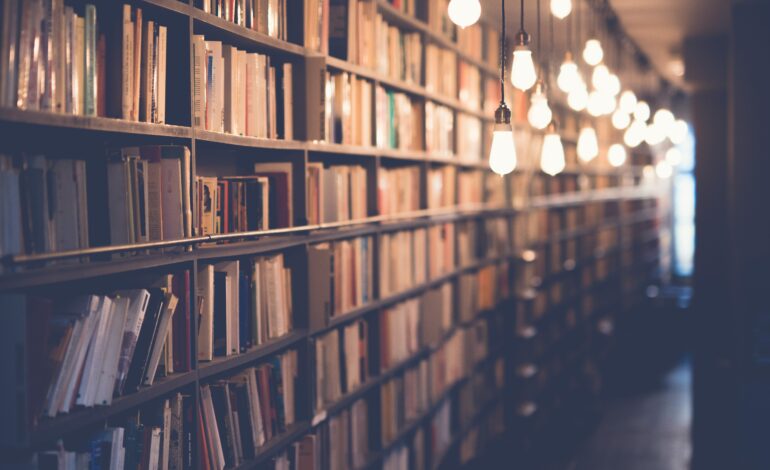 LA BIBLIOTECA DEI DESIDERI