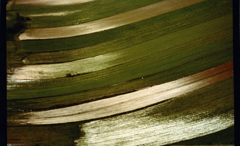 LA MOSTRA IL COLORE