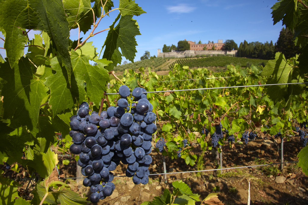 Dimore Storiche celebrano il legame tra cultura, agricoltura e territorio con “Coltiviamo la cultura 2025”