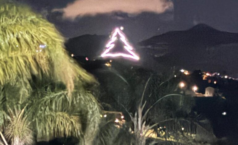 L’Albero di Natale più grande della Sicilia è stato realizzato a Montelepre