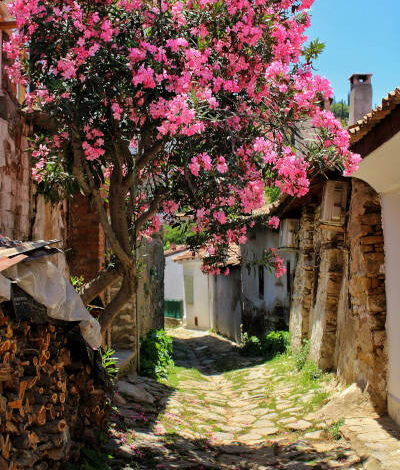 CREDERE IN UNA RINASCITA