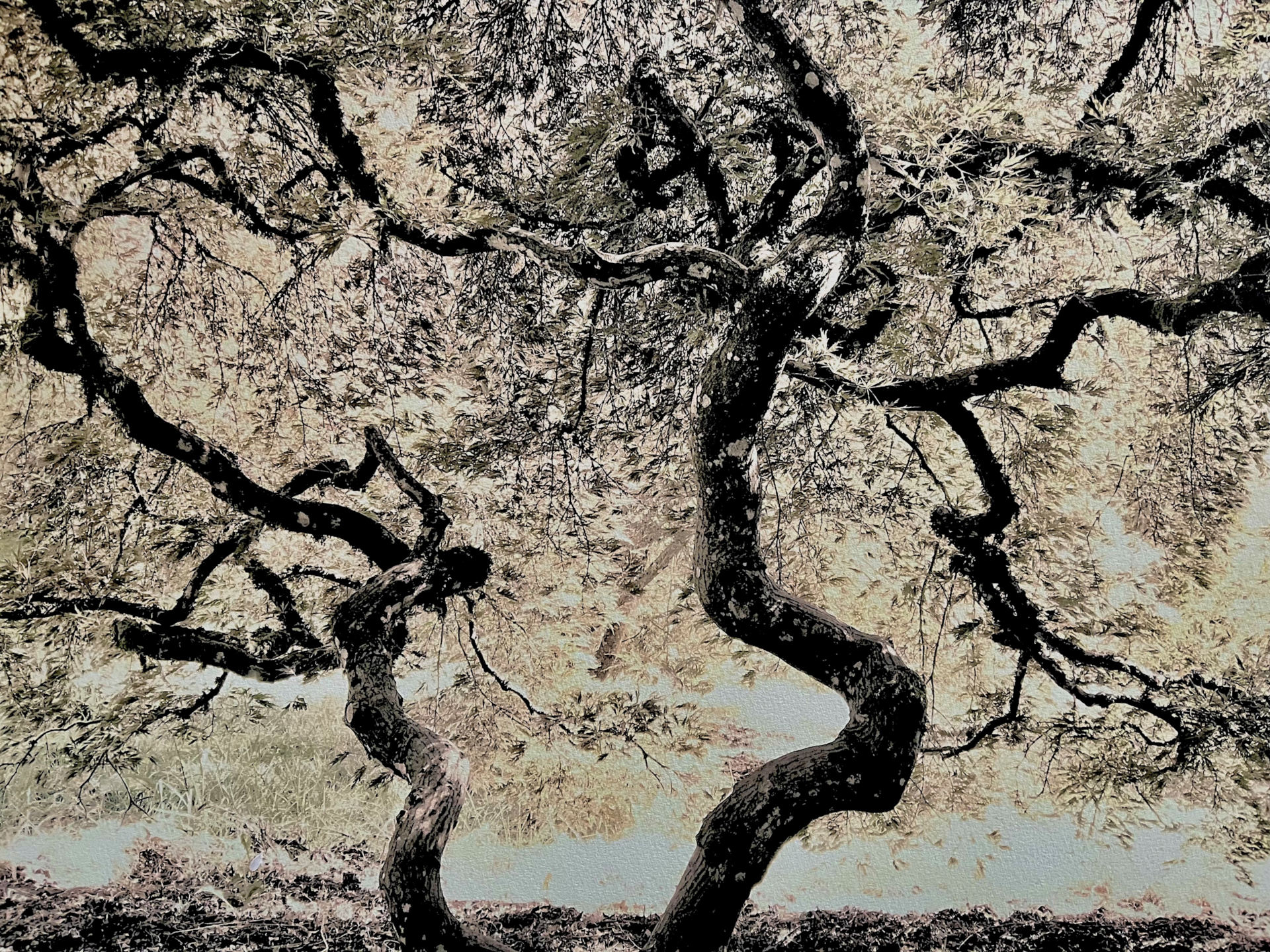 Lo Mei Hing nell’interpretazione critica di Massimiliano Reggiani: l’armonia invisibile del Tao