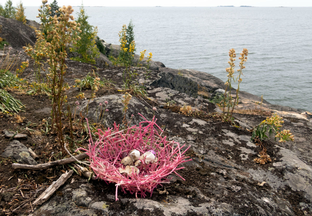 International Media Art Festival CYFEST 17 a Venezia: Natura Naturans tra arte, tecnologia e paesaggio
