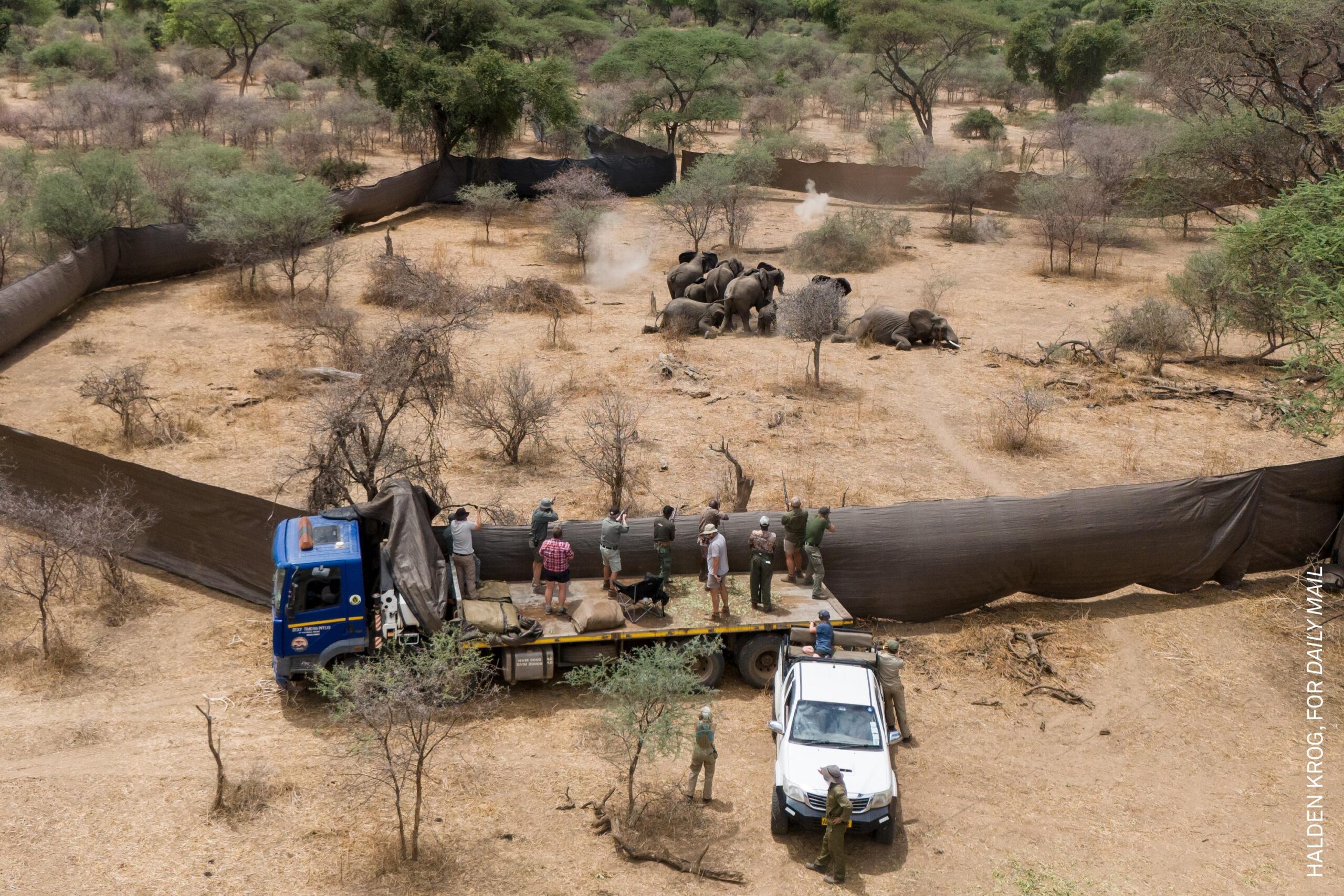 World Press Photo Contest 2026: annunciati i vincitori. L’italiana Chantal Pinzi tra i premiati
