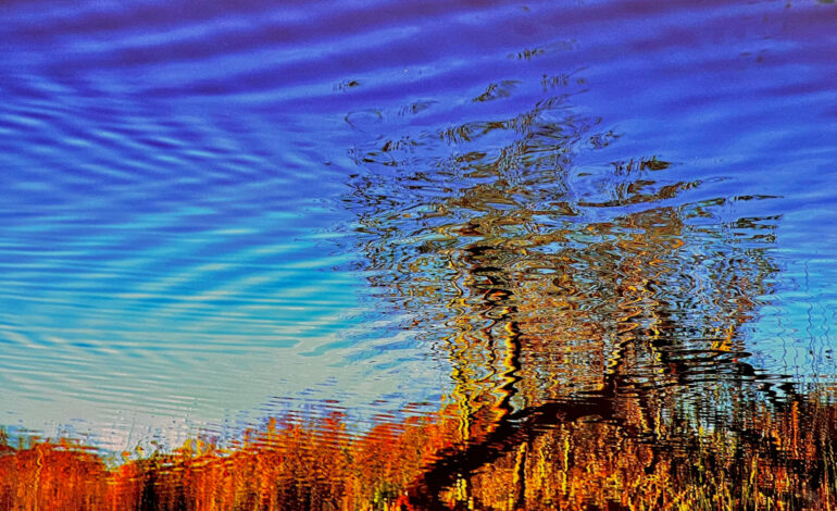 Mostra fotografica “NATURA” a Bressanone: Diana LoMeiHing e Bill Hornaday