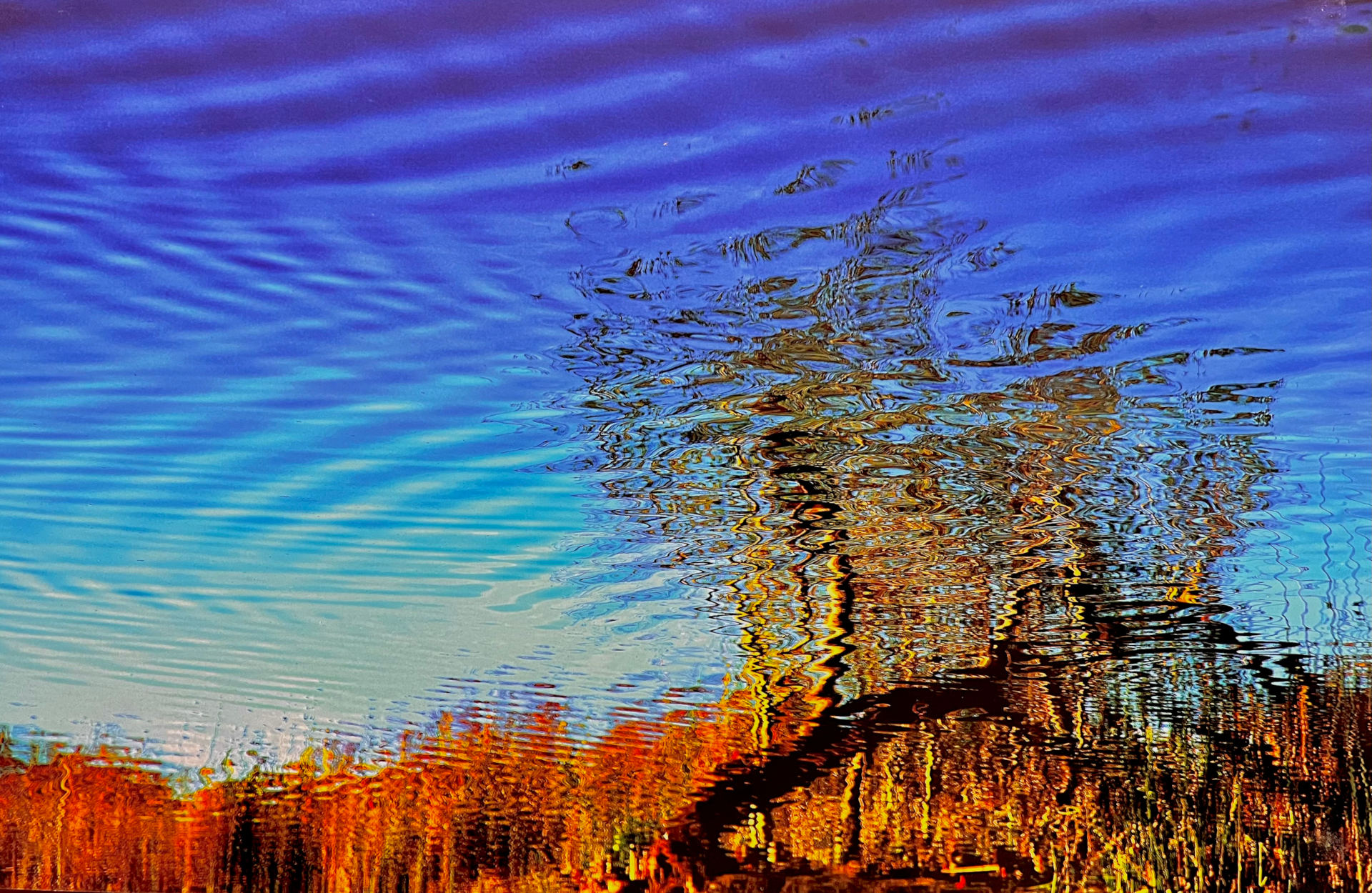 Mostra fotografica “NATURA” a Bressanone: Diana LoMeiHing e Bill Hornaday