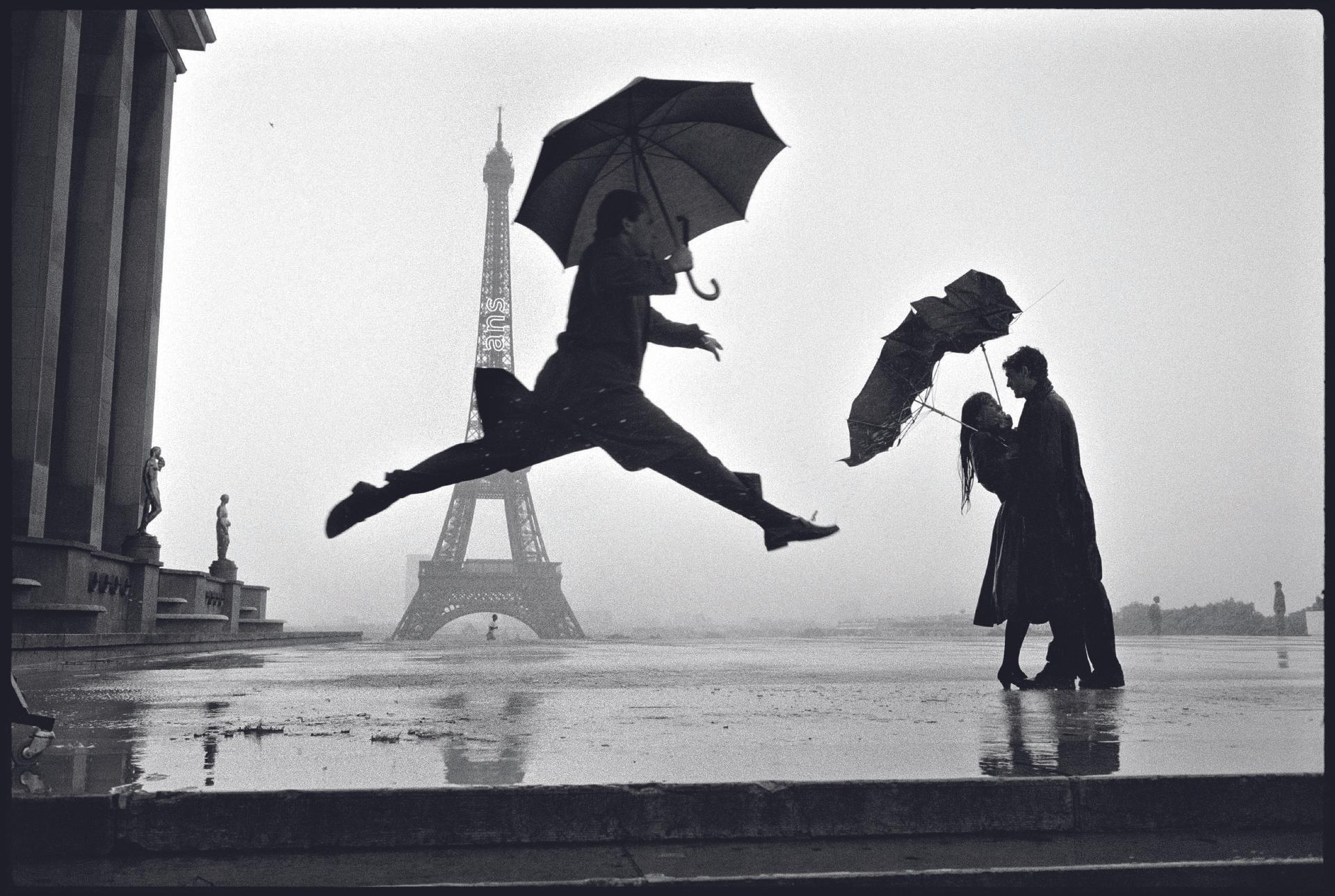 ELLIOTT ERWITT: ICONS