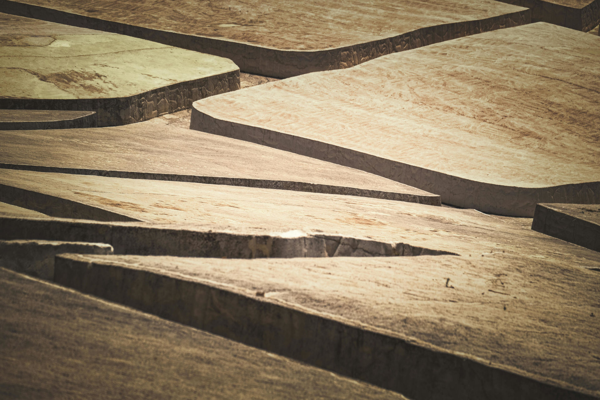 La Fondazione Sicilia e Gibellina Capitale italiana dell’arte contemporanea 2026 in dialogo