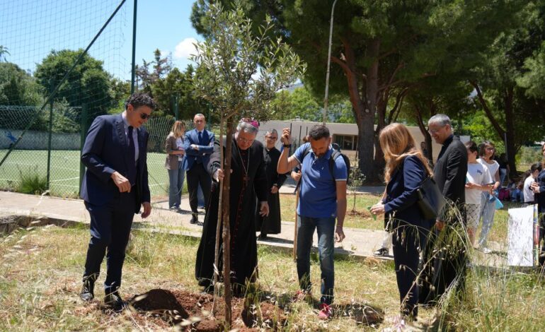 “La cura per la pace è cura per la vita”