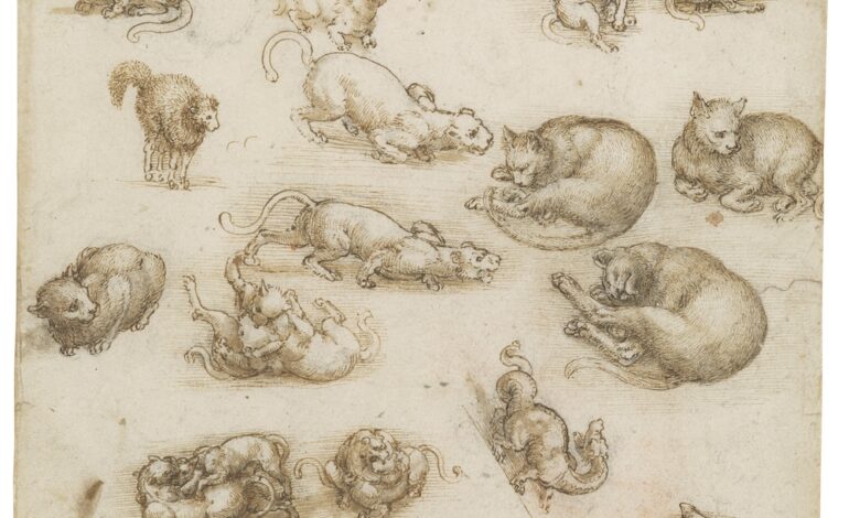 I manoscritti di Leonardo da Vinci riuniti per la prima volta dopo 400 anni in una nuova piattaforma digitale