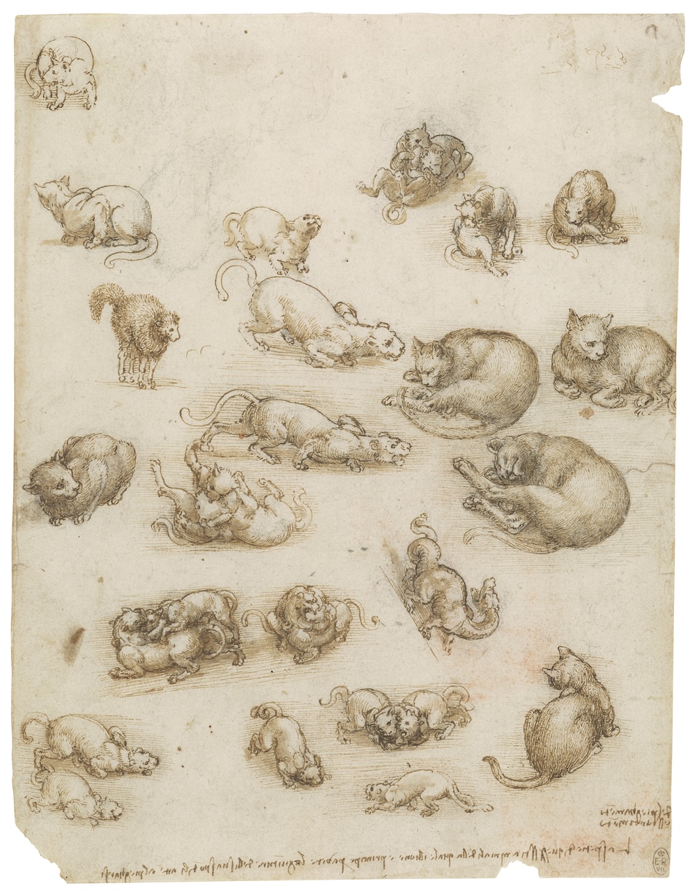 I manoscritti di Leonardo da Vinci riuniti per la prima volta dopo 400 anni in una nuova piattaforma digitale