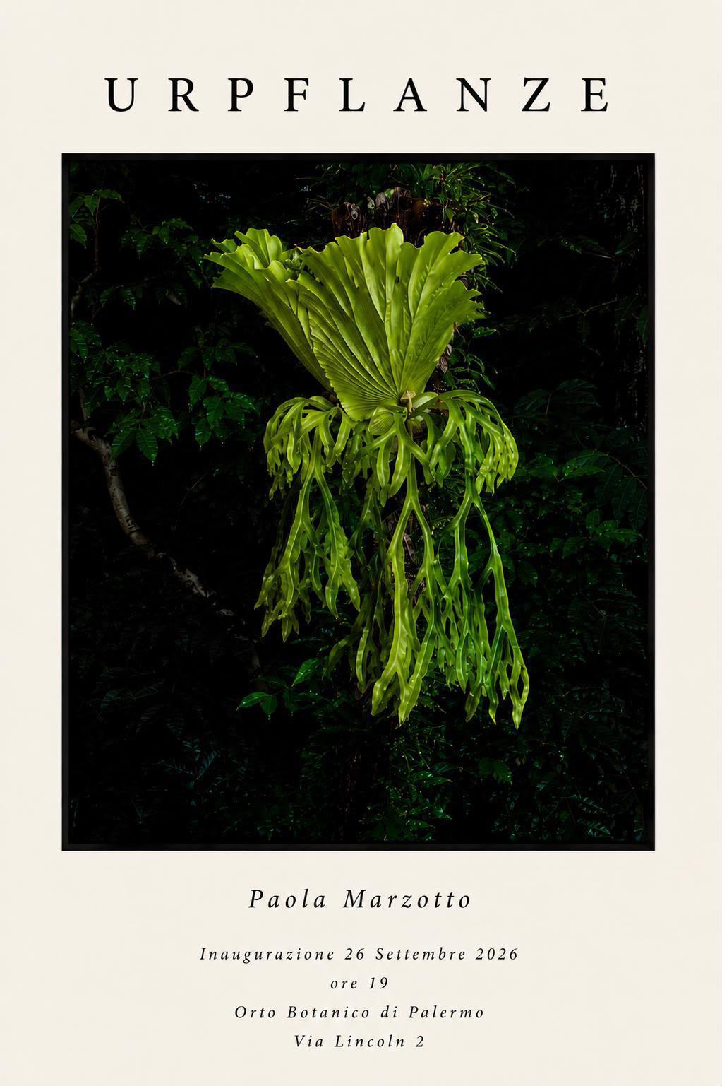 Quando la natura diventa arte